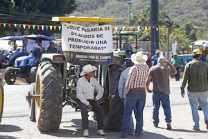 Hartazgo de GenZ y Agricultores.