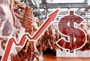 Sube el costo de la carne, hiere el bolsillo.