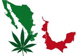La Droga que se Queda.