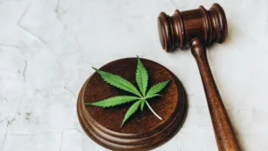 Marihuana en México: legalización a medias, caos completo