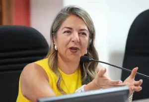 Entrevista a la Dip. Rosana Díaz Reyes.